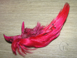 Золотой фазан хохолок Golden Pheasant Crest Only Magenta