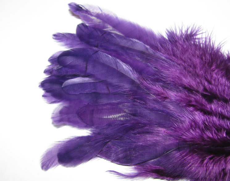 Куриное перо Hen feathers  фиолетовый