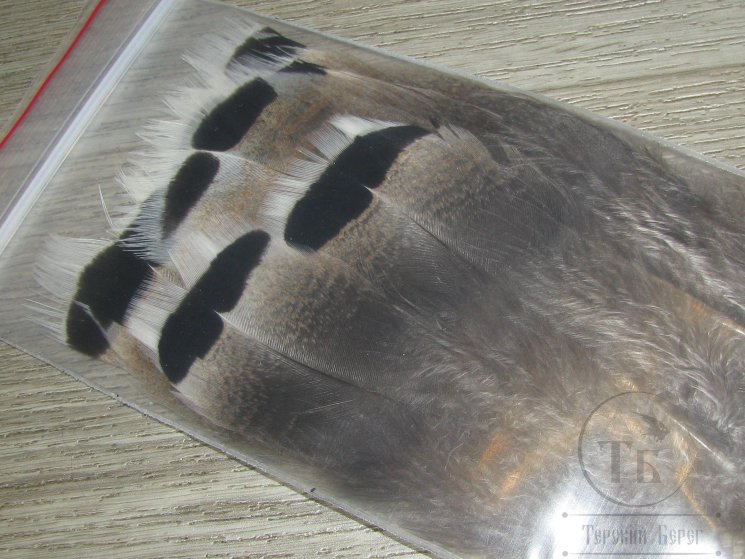 Хвостовые перья индюка turkey tail lt cinnamon tip sm (6 fs) Terskibereg