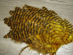 Перо курицы гризли золотисто оливковый 1/2 Soft Hackle Grizzly Gold Olive Whiting