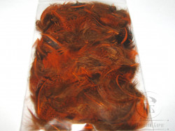 Перья куропатки Gray Partridge Feathers Tone Orange