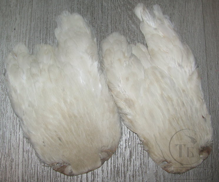 Скальп курицы  Indian Hen Cape White / Белый