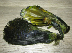 Золотой фазан комплект (шея, голова) Golden Pheasant Complete Head Dk. Olive