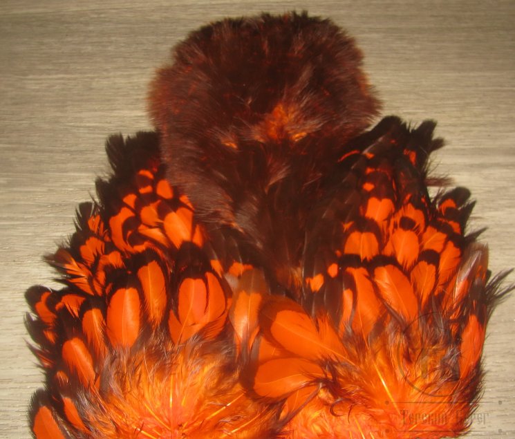 Перо курицы American Hen Soft Hackle W/Chickabou  BLW/Orange  Whiting