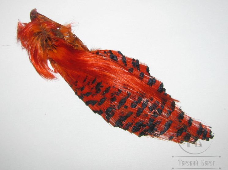 Золотой фазан комплект (шея, голова) Golden Pheasant Complete Head  Hot Orange #2