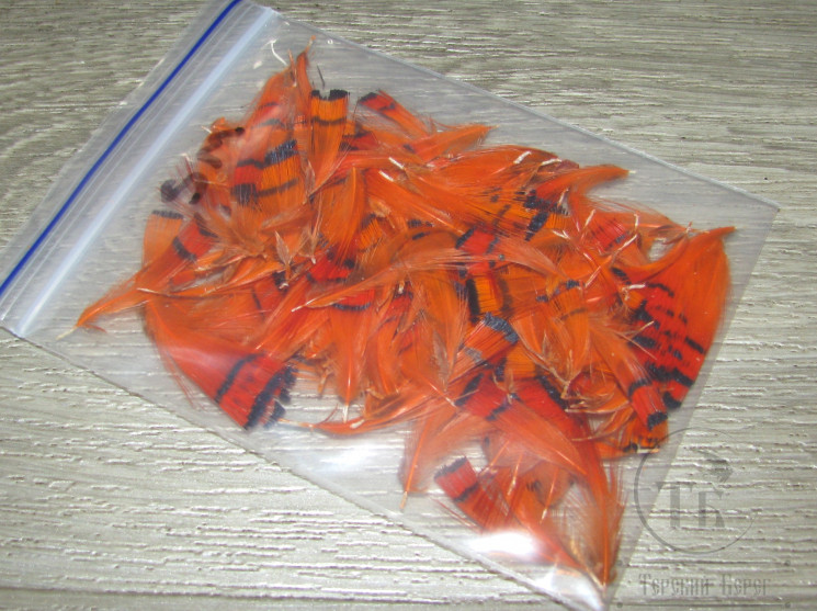Шейные перья (типпет) золотого фазана оранжевый Sm Orange