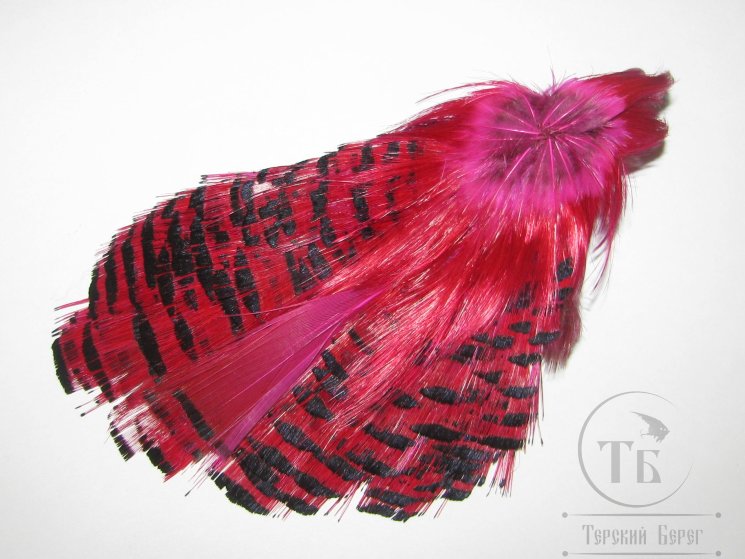 Золотой фазан комплект (шея, голова) Golden Pheasant Complete Head Fl. Hot Pink # 2