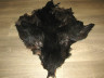 Шкура петуха с крыльями и хвостом Cock Skin Black Peacock ( скальп и седло черно зеленые , хвост отсутствует ) CS 4 / 24 