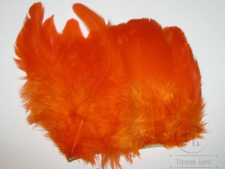 Куриное перо Hen feathers огненно оранжевый