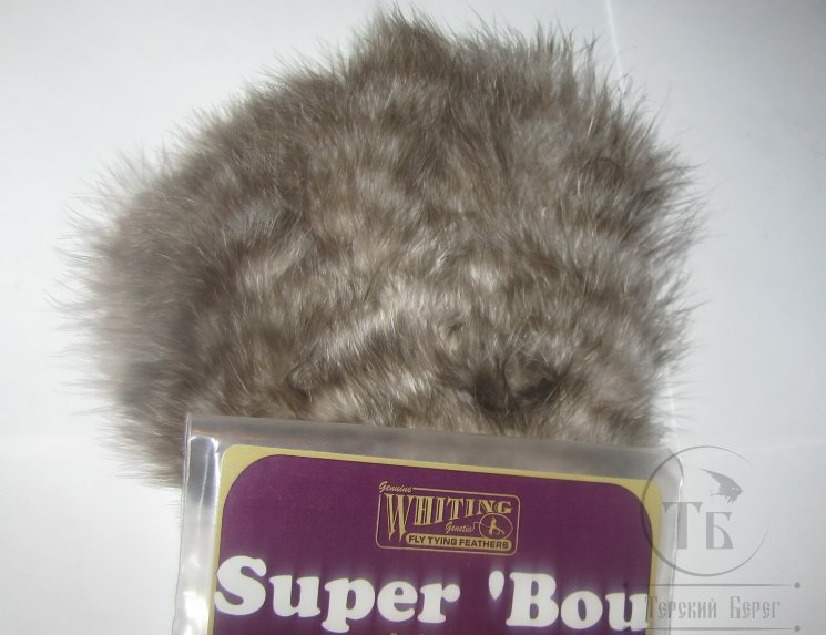 Super Bou  Grizzly