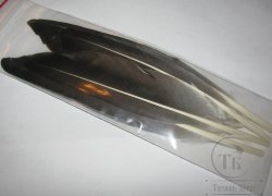 Перо домашнего гуся маховое серое (2 пары)