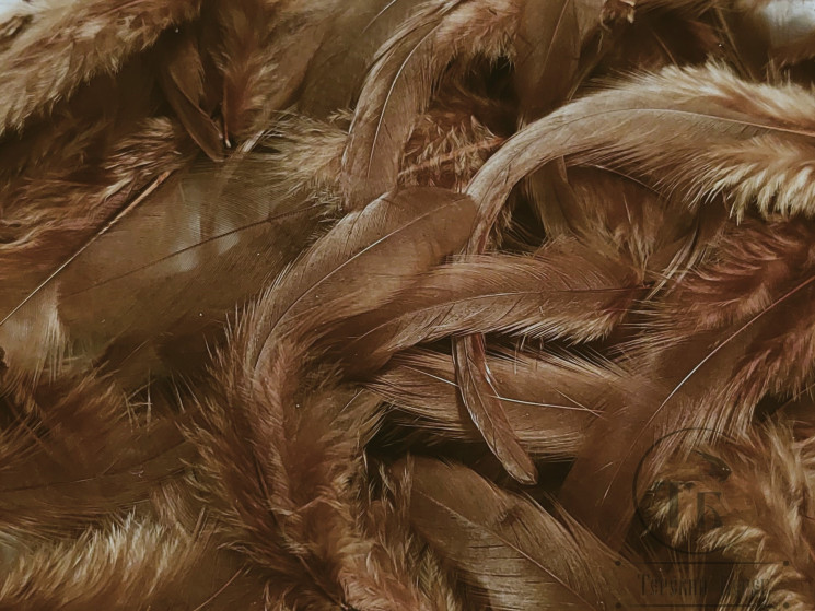 Куриное перо Soft Hackle Hen feathers коричневое ( для мокрых мух на кр. № 16 - 10 )