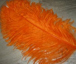 Перо страуса большое Ostrich Plumes Orange Wapsi