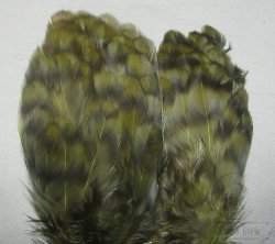 Перо петуха на коже лопаточное гризли оливковый  Scapulars feathers Grizzly Olive