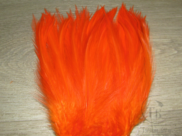 Перо скальпа петуха оранжевое / Strong neck hackle Orange 3XL CF