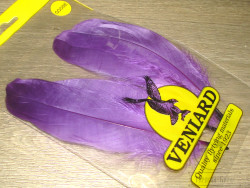 Goose Shoulders Purple Veniard