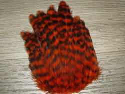 Куриные перья скальпа на коже  (нижняя часть)  Hen Cape American  гризли оранжевые