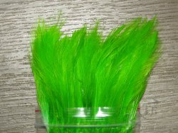 Перо скальпа петуха Флюр Зелёно Шартрезное \ Strong neck hackle Fl. Green Chartreuse Терский Берег