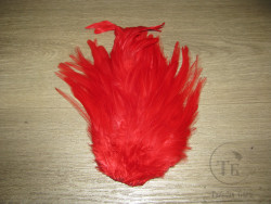 Седло петуха Indian Saddle Red