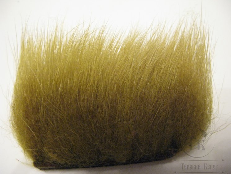 imi polar bear olive premium