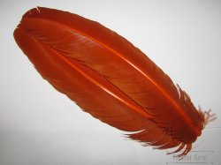 Маховые перья индюка Turkey Wing Quills Rusty Orange (1 пара)