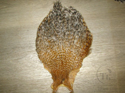 Скальп петуха Cock Cape Premium XXXL Grizzly Ginger