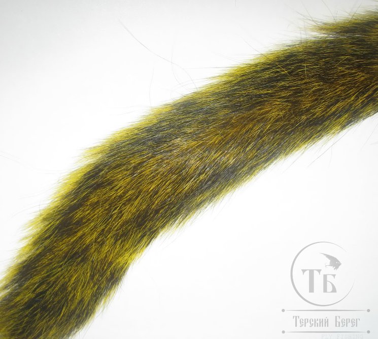 Хвост белки канадской желтый / Squirrel Tail Yellow