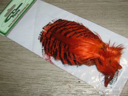 Золотой фазан комплект (шея, голова) Golden Pheasant Head Orange  A.Jensen