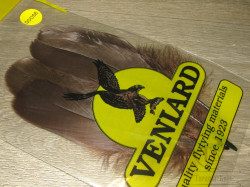 Goose Shoulders Dk. Brown Veniard