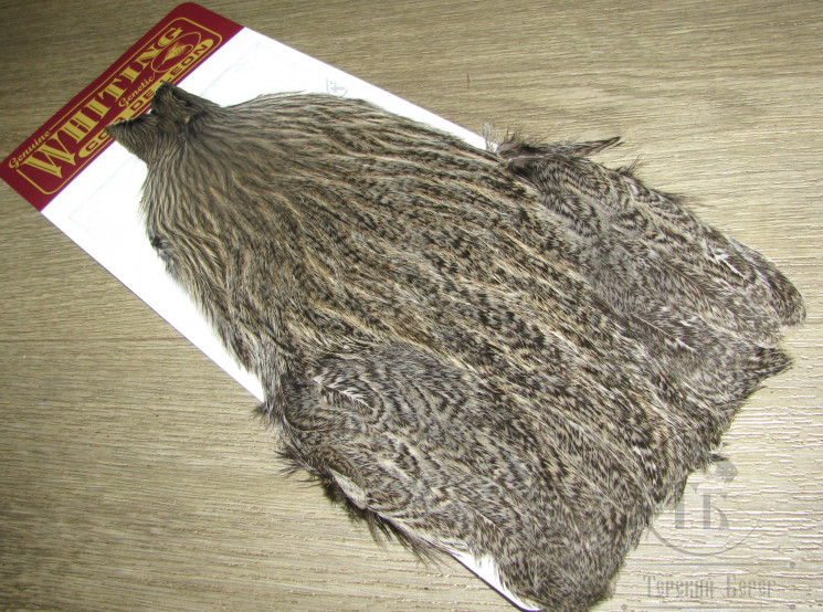 Скальп курицы Coq de Leon Hen Cape Silver Speckled Whiting