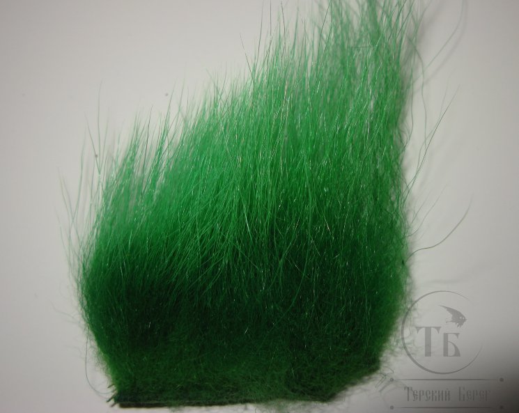 imi polar bear greenhighlander standart