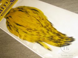 Скальп петуха  Whiting Salmonidae Rooster Cape Yellow
