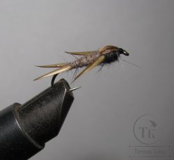 Муха нимфа Biot ( 77 ) Prince nymph olive крючок № 8