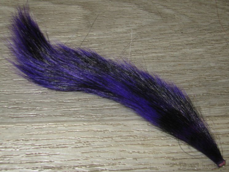 Часть хвоста белки Purple