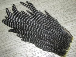 Куриное перо Hen feathers гризли Hen Cape Ps Wet (№ 18-12)