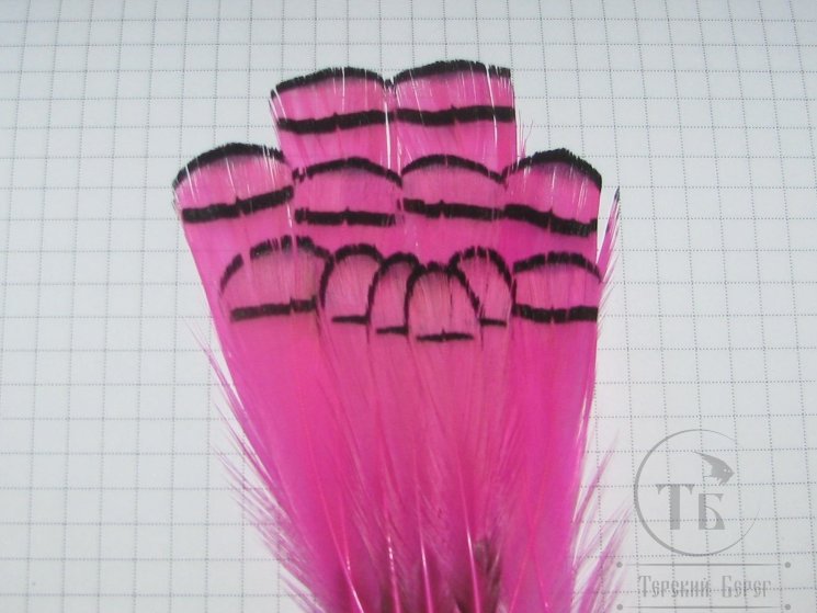 Перья шеи алмазного фазана Lady Amherst Tippet Feathers (12 fs) Pink