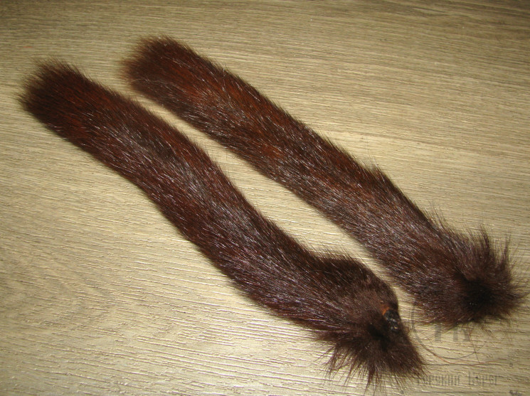 Хвост белки русской коричневый крашенный ST-DFBR Fiery Brown ( 1 шт. )