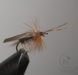 Муха сухая Dry fly ( 113 ) " Wood Cock Caddis  " крючок № 10 ( Kumho )