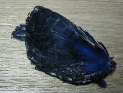 Золотой фазан  (шея) Golden Pheasant Tippet Section Blue