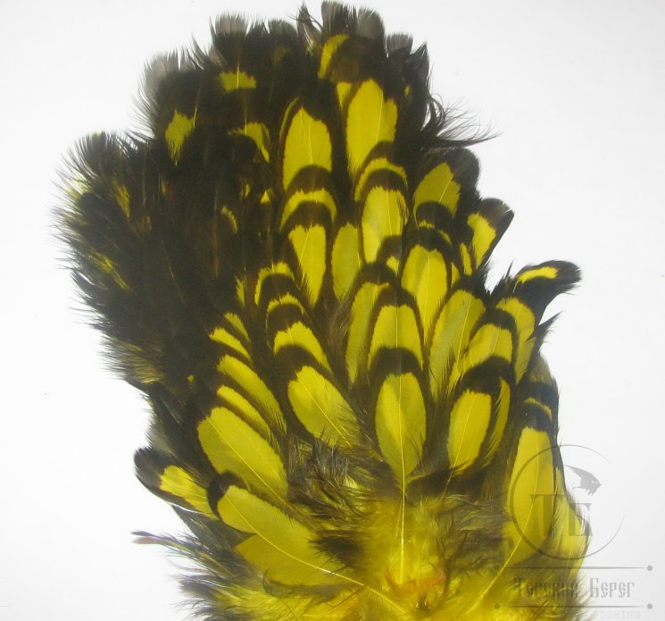 Перо курицы желтое с чёрной окантовкой 1/2 Soft Hackle BLW Yellow Whiting