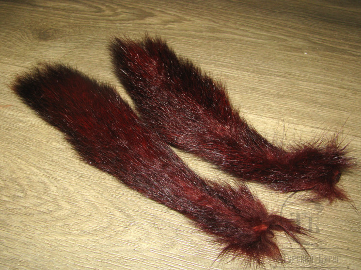 Хвост белки русской винно коричневый крашенный ST-DCP Claret Phatacorva ( 1 шт. )