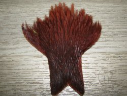 Куриные перья скальпа на коже  (верхняя часть)  Hen Cape American Chocolate Brown