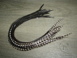 Перо из седла петуха отборное ( 1 шт ) Black Natural Grizzly Tips Variant ( 25 - 28 см )