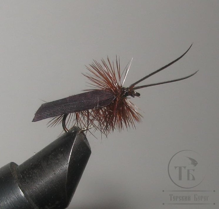 Муха сухая Dry fly ( 111 ) " Quill Wing Caddis (brown) "крючок № 14 ( Kumho )