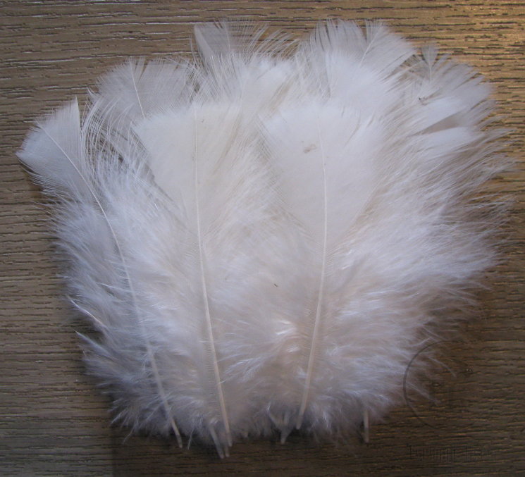 Перья индюка Turkey Flats White natural (20шт)