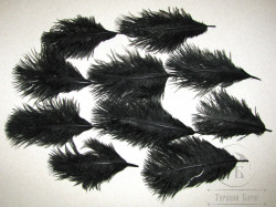Мини страус Ostrich Marabou Black 10 перьев