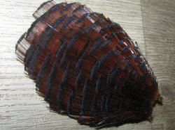 Золотой фазан  (шея) Golden Pheasant Tippet Section Brown