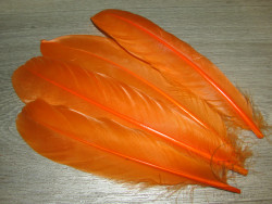 Перо лебедя Swan Shoulder Orange 2 пары SH 