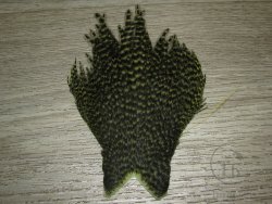Куриные перья скальпа на коже  (верхняя часть) Dry Wet  Hen Cape American  гризли оливковый