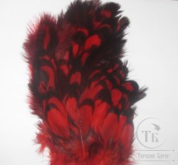 Перо курицы красное с чёрной окантовкой 1/2 Soft Hackle BLW Red Whiting